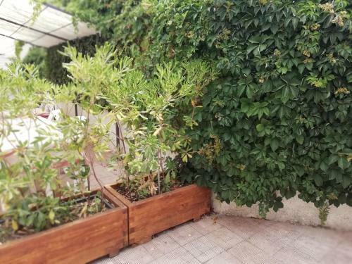 Hostal Stella Marina Albergo Diffuso - B&B