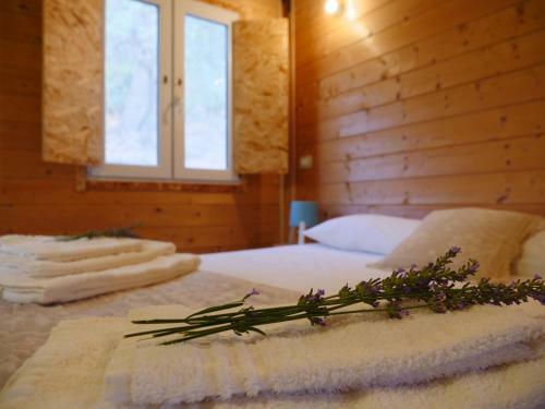 Camping Fiori Di Noto