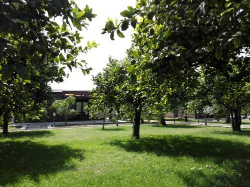 Hotel Villa Felicia