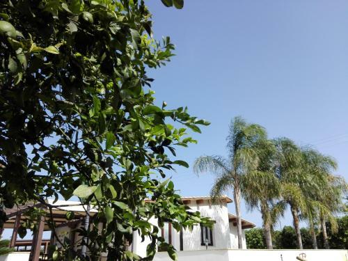 Hotel Villa Felicia