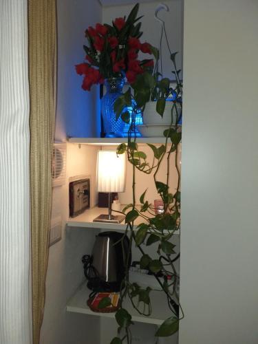 Apartamento Olbia Center House