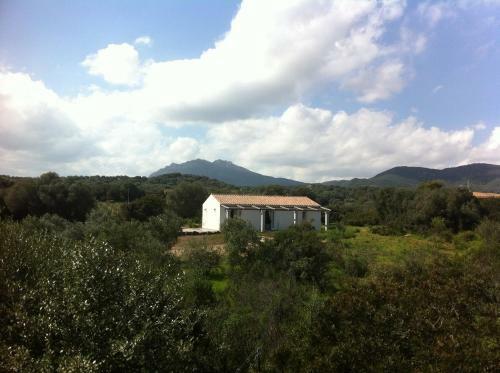 Bed & Breakfast Nacchinono