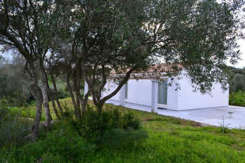 Bed & Breakfast Nacchinono