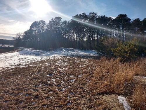 Tentrr - Spring Hill On Cape Cod