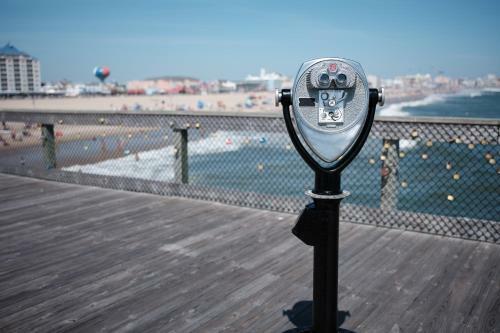 Brooklyn's Casa Rosa & Hitch Apartment