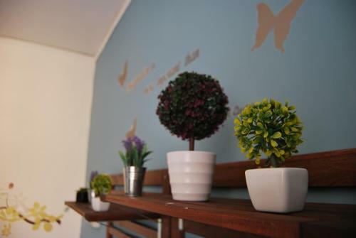 Spaccanapoli Bros. B&B