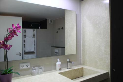 Apartaments Y Habitacions Entre Volcans