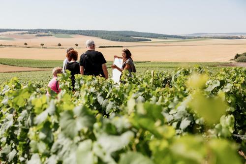 Bed & Breakfast Maison D'h�tes La Poterne