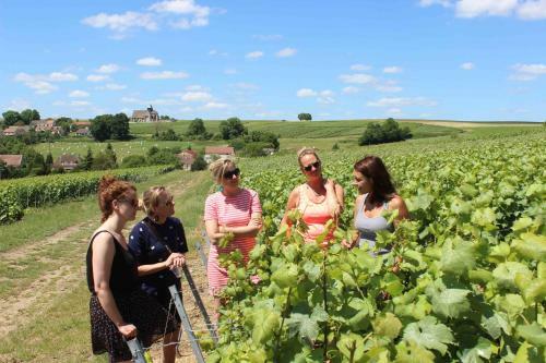 Bed & Breakfast Maison D'h�tes La Poterne