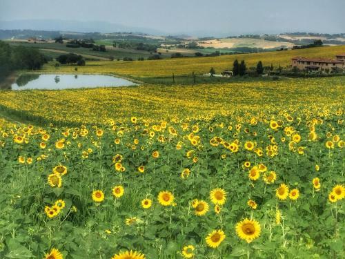 Apartamento Fontegirasole - A Fontanaro Property