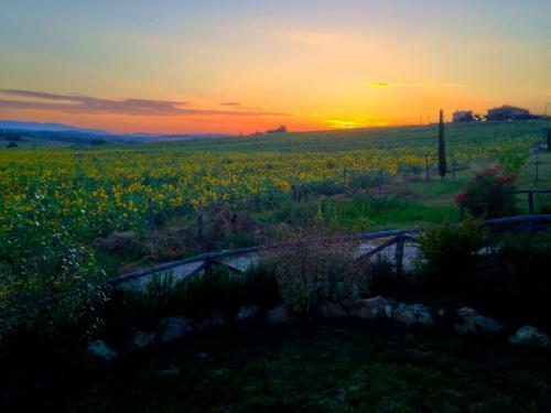 Apartamento Fontegirasole - A Fontanaro Property