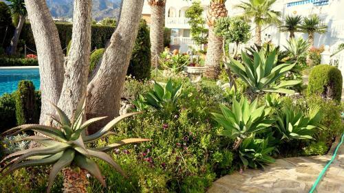 Apartamentos Starnerja En Stella Maris