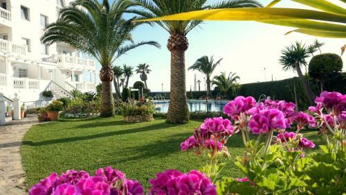 Apartamentos Starnerja En Stella Maris