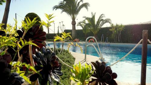 Apartamentos Starnerja En Stella Maris