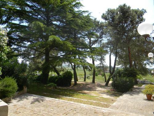 Dimora Del Falconiere B&B