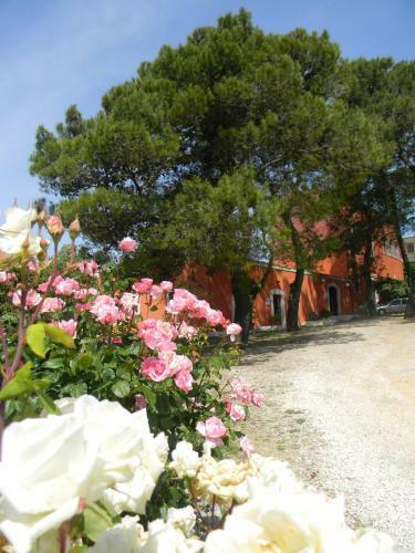Dimora Del Falconiere B&B