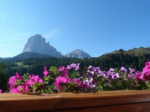 Bed&breakfast Villa Arnika
