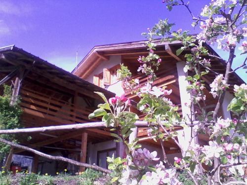 Agroturismo Agritur Scarena