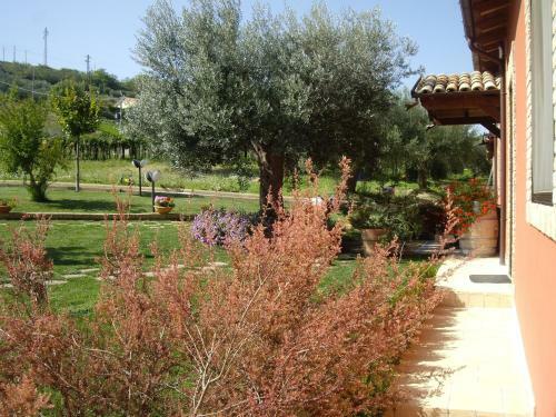 Agroturismo Agriturismo Il Borgo Degli Ulivi