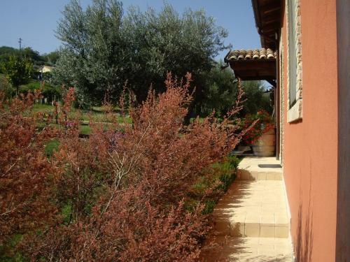 Agroturismo Agriturismo Il Borgo Degli Ulivi
