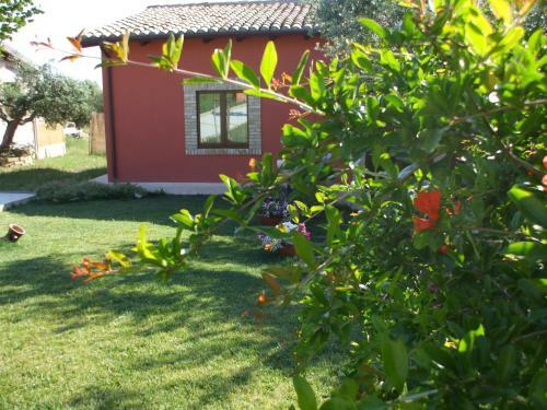 Agroturismo Agriturismo Il Borgo Degli Ulivi