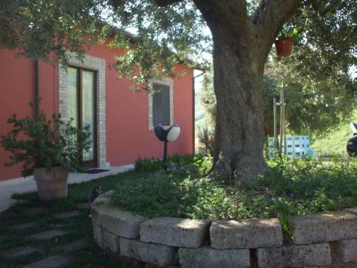 Agroturismo Agriturismo Il Borgo Degli Ulivi