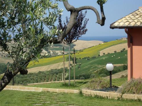 Agroturismo Agriturismo Il Borgo Degli Ulivi