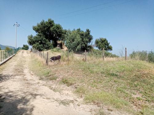 Agroturismo Mama Lina