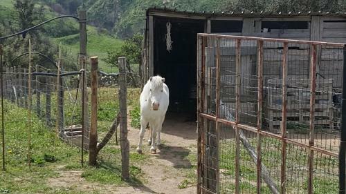 Agroturismo Mama Lina