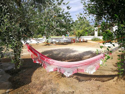Bed & Breakfast Stella Del Sud Guesthouse