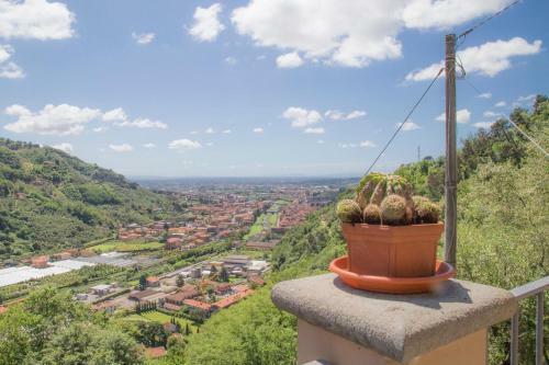 Agroturismo Podere Scoglio D'oro