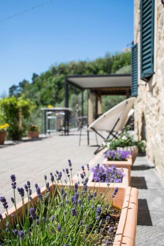 Agroturismo Podere Scoglio D'oro
