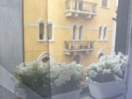 Bed & Breakfast Maison Fleurie