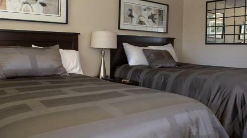 Hotel Mark Iii, Inn & Suites