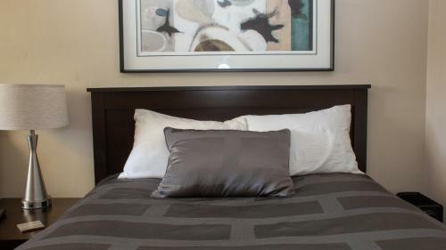 Hotel Mark Iii, Inn & Suites