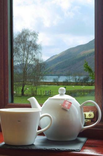 Hostal Dolffanog Fawr