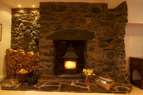 Hostal Dolffanog Fawr