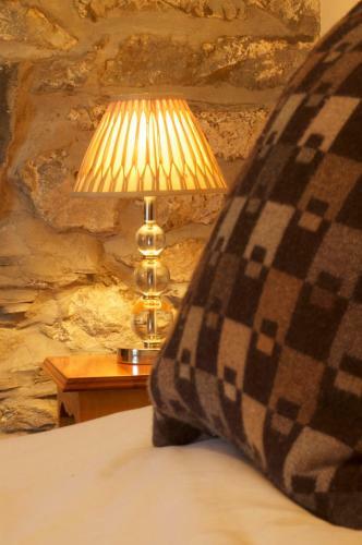 Hostal Dolffanog Fawr