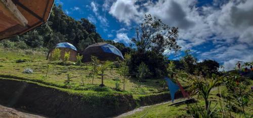 Tybyn Geo Lodge
