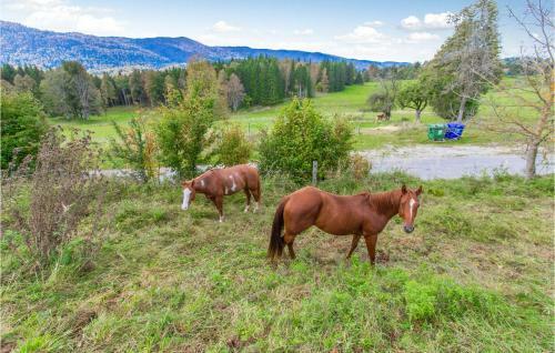 Beautiful Home In Kocevska Reka With 4 Bedrooms