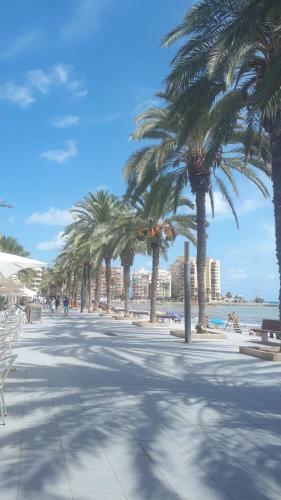 Apartamento C�ntrico Y Cerca De La Playa