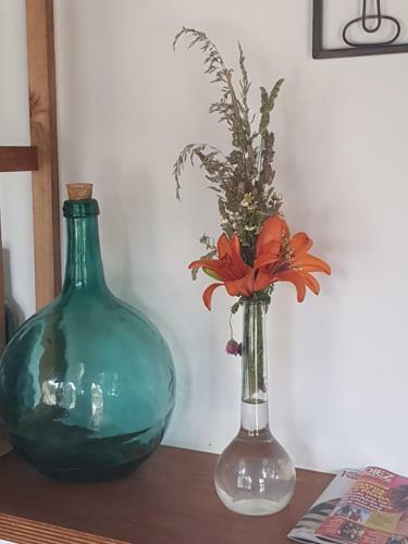 Hostal La Pallota De San Cristobal
