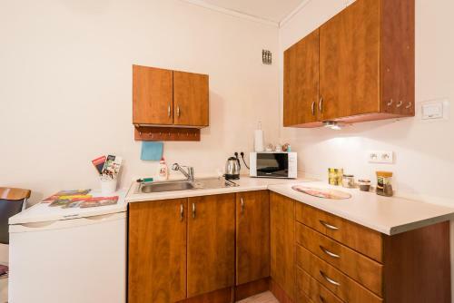 Apartament Krakowska Wawelofts
