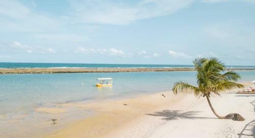 Apartamento Nannai Residence Exclusive