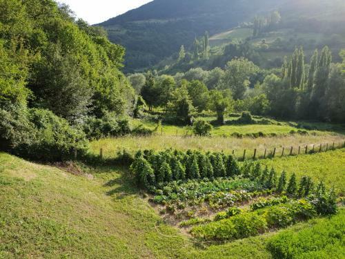 Agroturismo Agriturismo Il Casale Pica