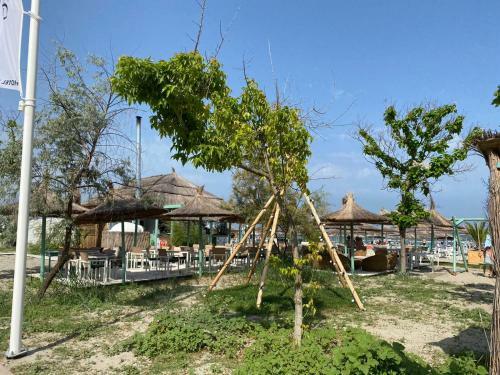 Apartamento Jacob's By Mamaia Nord