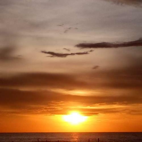 Hotel Camp Rofelio Surfing Beach Resort