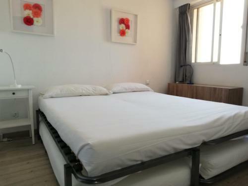Apartamento Jose