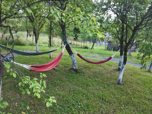 Hostal Hanul Cetatii Wellness&spa