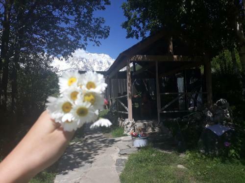 Hostal Maxvshi